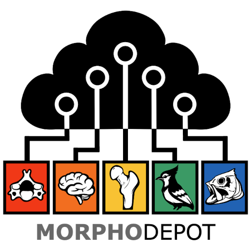 MorphoDepot logo
