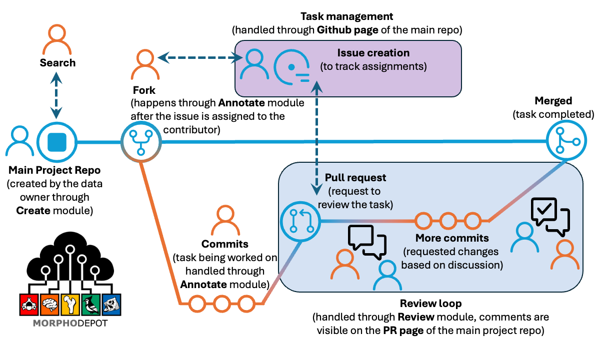 The MorphoDepot workflow: a source 3D volume is published to a GitHub repository, contributors fork it and submit segmentations as pull requests, and reviewers merge and release versioned baselines.